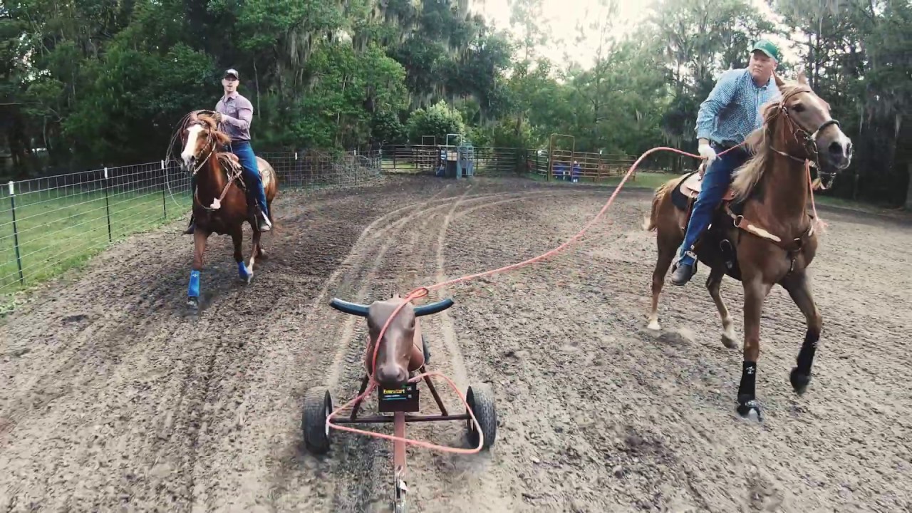 Roping the dummy COW L RANCH