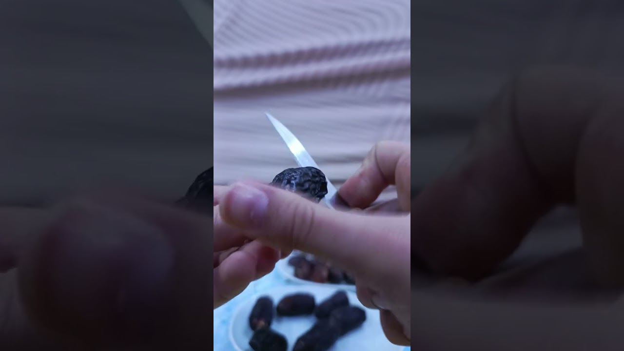 ٢١ فبراير ٢٠٢٦