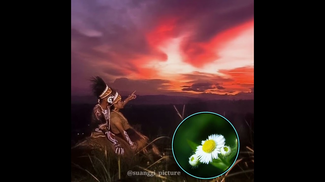 lagu acara Papua terbaik