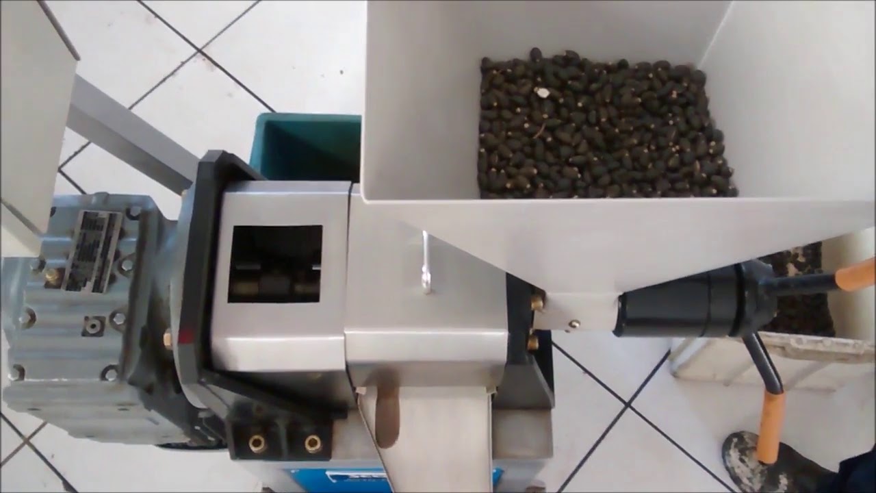 Extra&ccedil;&atilde;o do &Oacute;leo de Pinh&atilde;o Manso - ERT 60II | SCOTT TECH