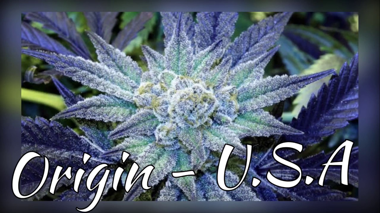 Top 10 Weed Strains For CRAMPS