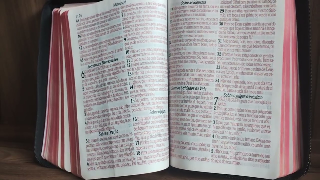 Palavra do dia Mateus 6:25 sobre os cuidados de Deus sobre nossas vidas gratidão 🙏 (Andrea Soares)