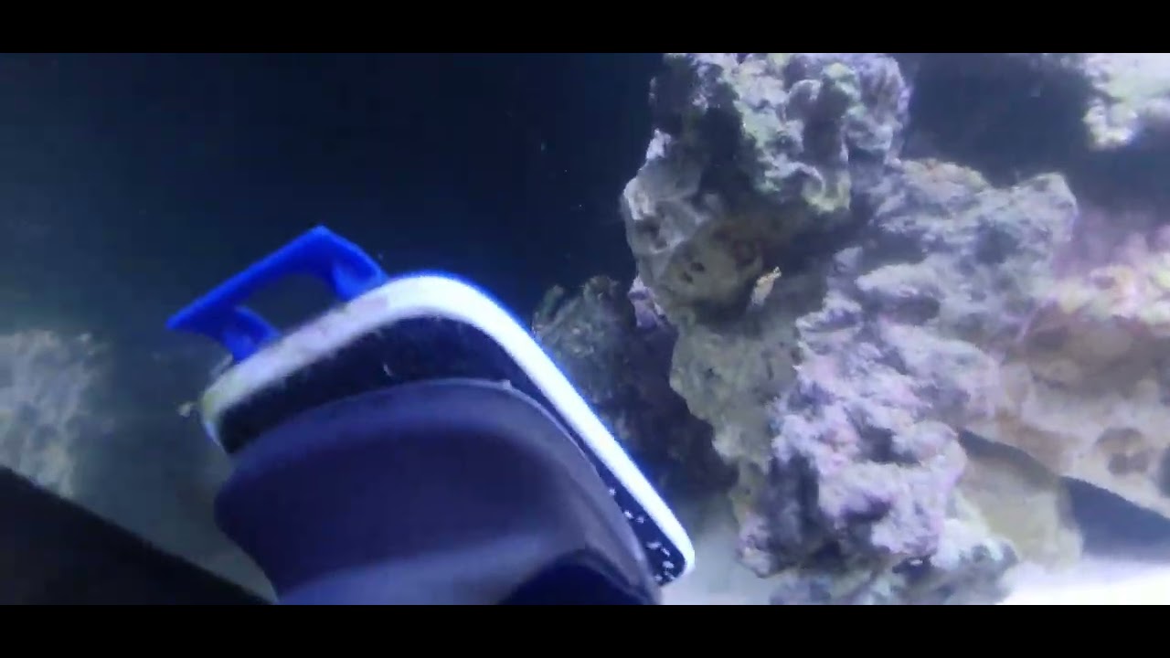 North Sea survival tank