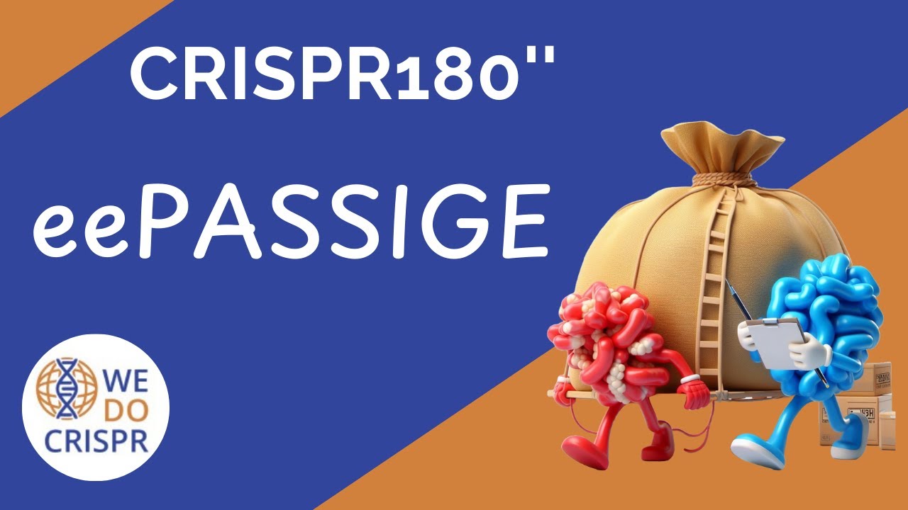 eePASSIGE: Inserting large DNA sequences with CRISPR