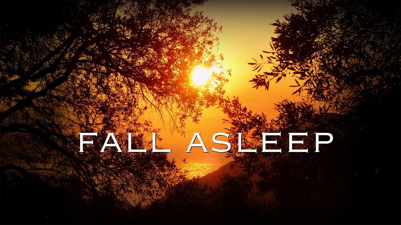 One hour of Relaxing Ocean ambient music - Sleeping Ambient Music