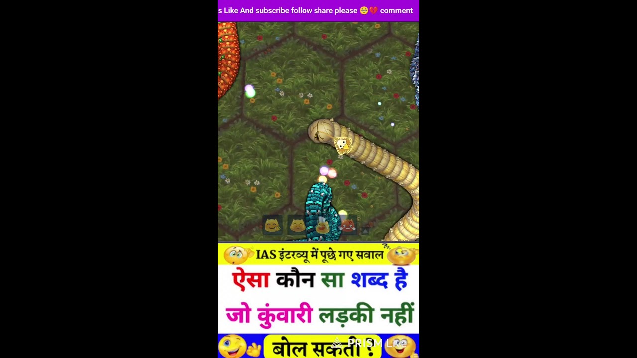 Snake skin beautiful 😍 Littlebigsnake King 👑 Mod Apk Android phone 🤳 Live streaming 😔