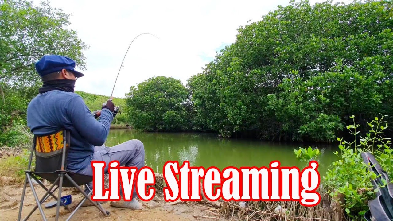 Live Stream Mas Walang ! Fishing for tilapia in small rivers!