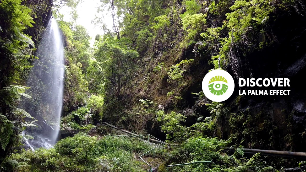VISIT LA PALMA EN