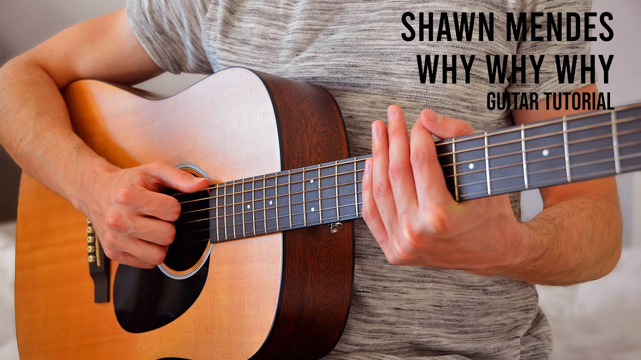 Shawn Mendes - Why Why Why EASY Guitar Tutorial With Chords / Lyrics