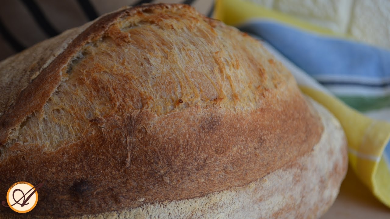 Pane fatto in casa con licoli - Lievito madre