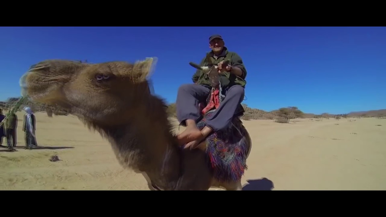 Dr. Peacock  - Trip to Saudi Arabia ft. Dither (Official Video)