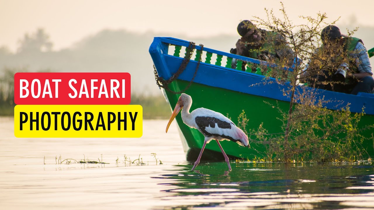 Basics of Boat Safari Photography (Bird Photography Tutorial for Beginners) | Sonika Agarwal