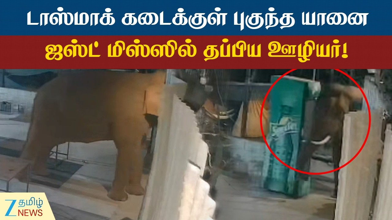 Elephant | டேபிளுக்கு அடியில் பதுங்கி தப்பிய ஊழியர்! திகில் நிமிடங்கள்!