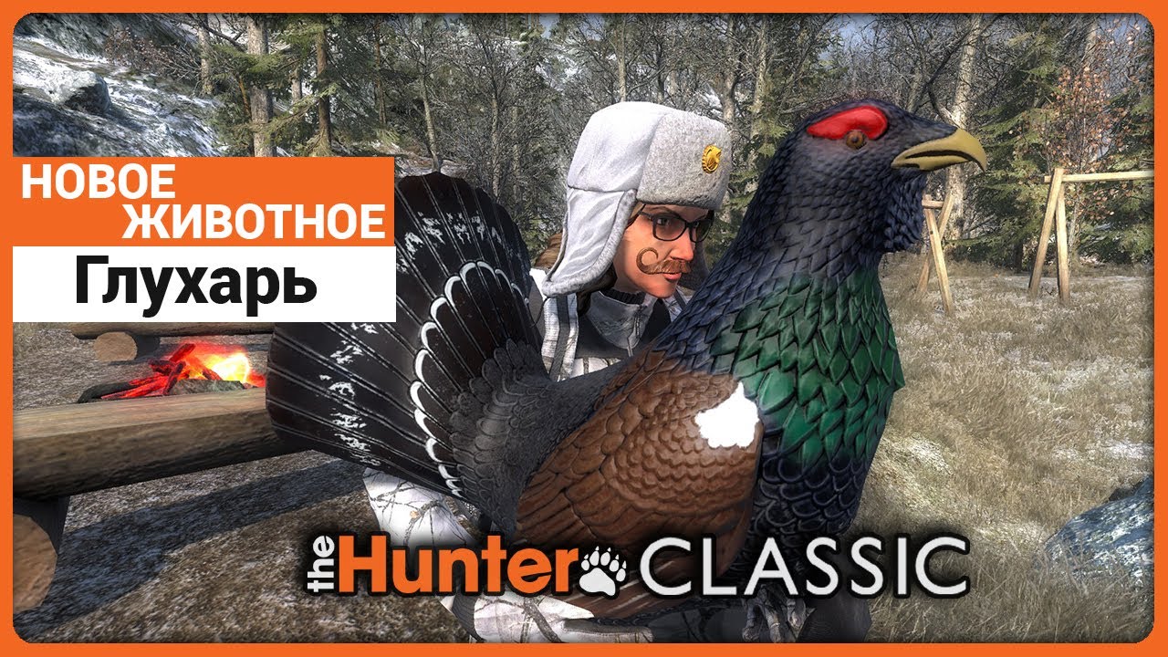 Глухарь - Новое Животное в theHunter Classic !