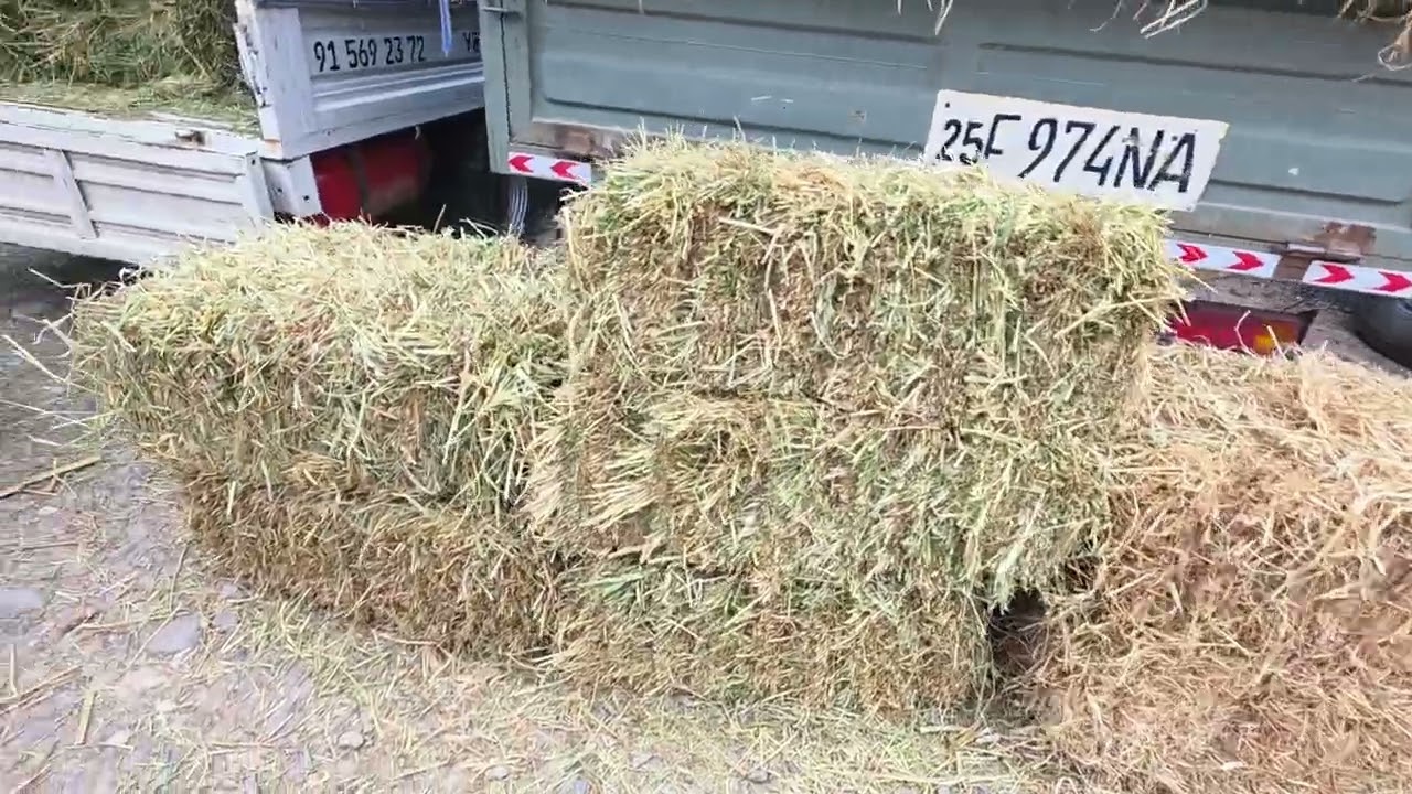 2 марта 2026 г.