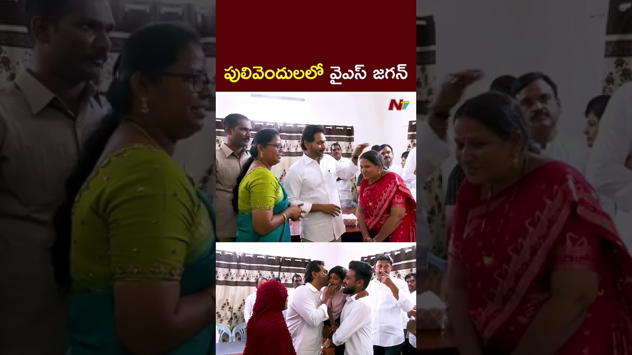 YS Jagan at Pulivendula Camp Office : పులివెందుల్లో వైఎస్ జగన్ l NTV Telugu