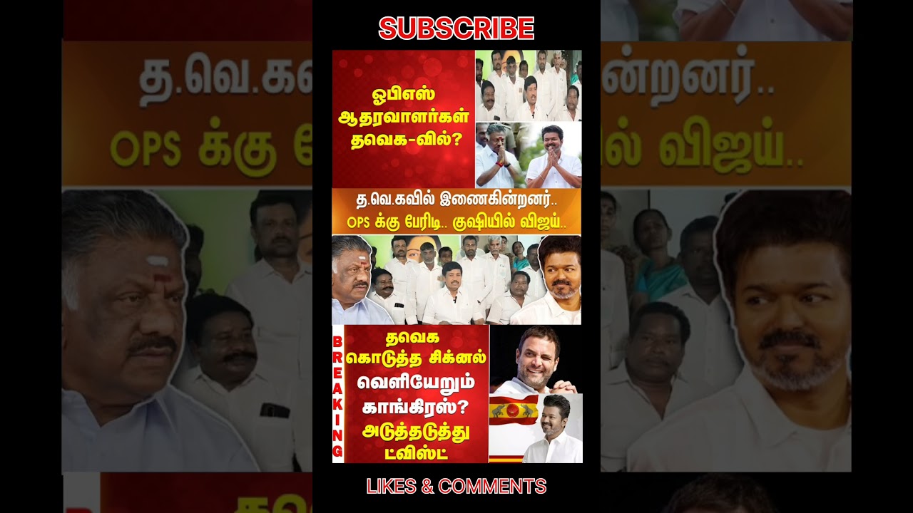 TVK Thalapathy VijayAnna | #tvk #tvkvijay #bjp #congress #breakingnews #news #admk #dmk #thalapathy