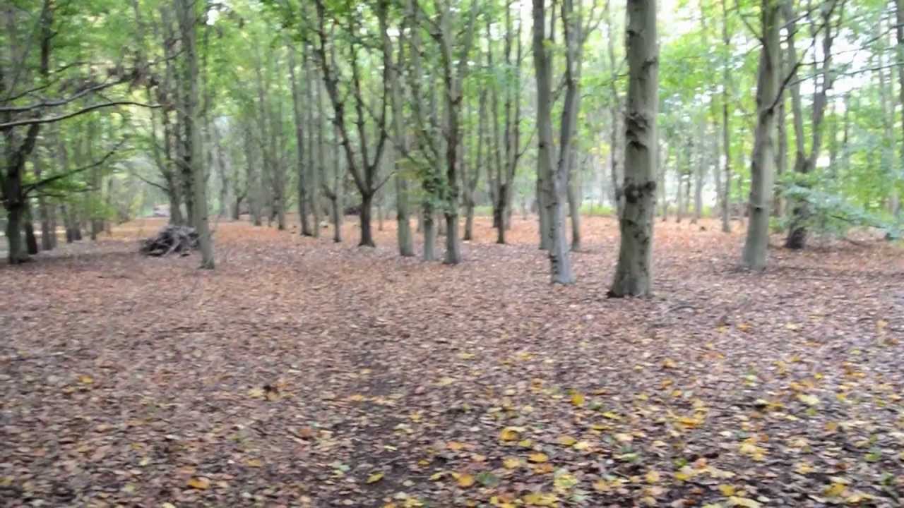 ex RAF Martlesham Heath as it is in 2012