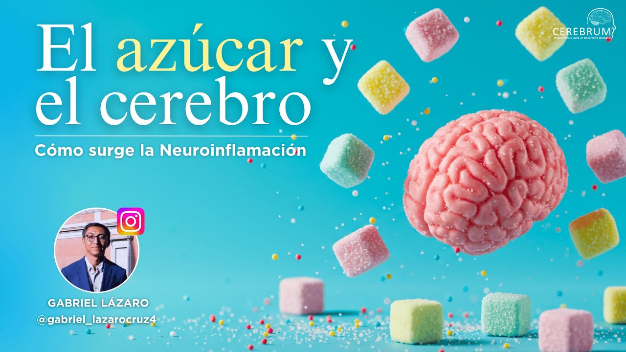🧠 Cómo el Azúcar genera Neuroinflamación - CEREBRUM | Gabriel Lázaro Cruz