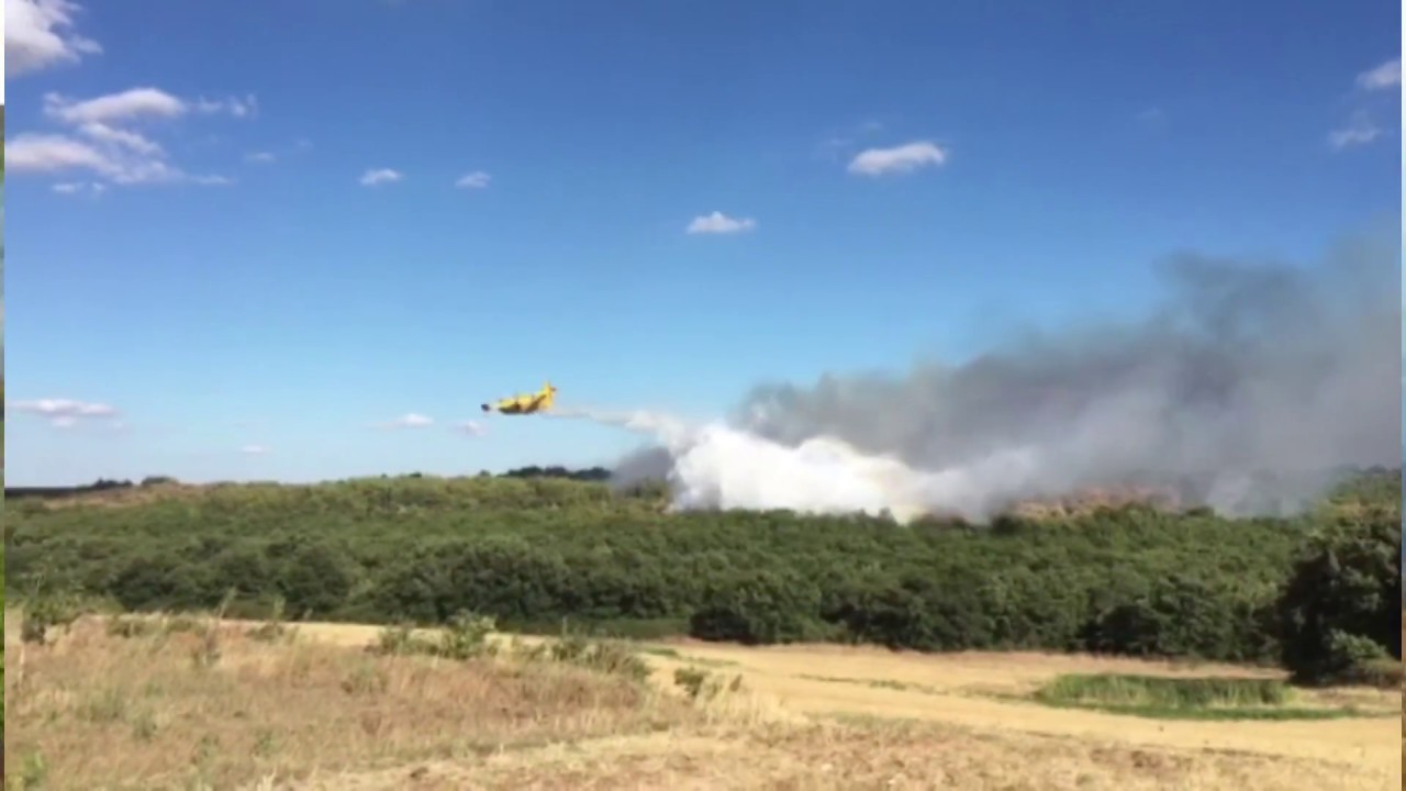 Incendio al Bosco Difesa Grande di Gravina in Puglia: emergenza cessata
