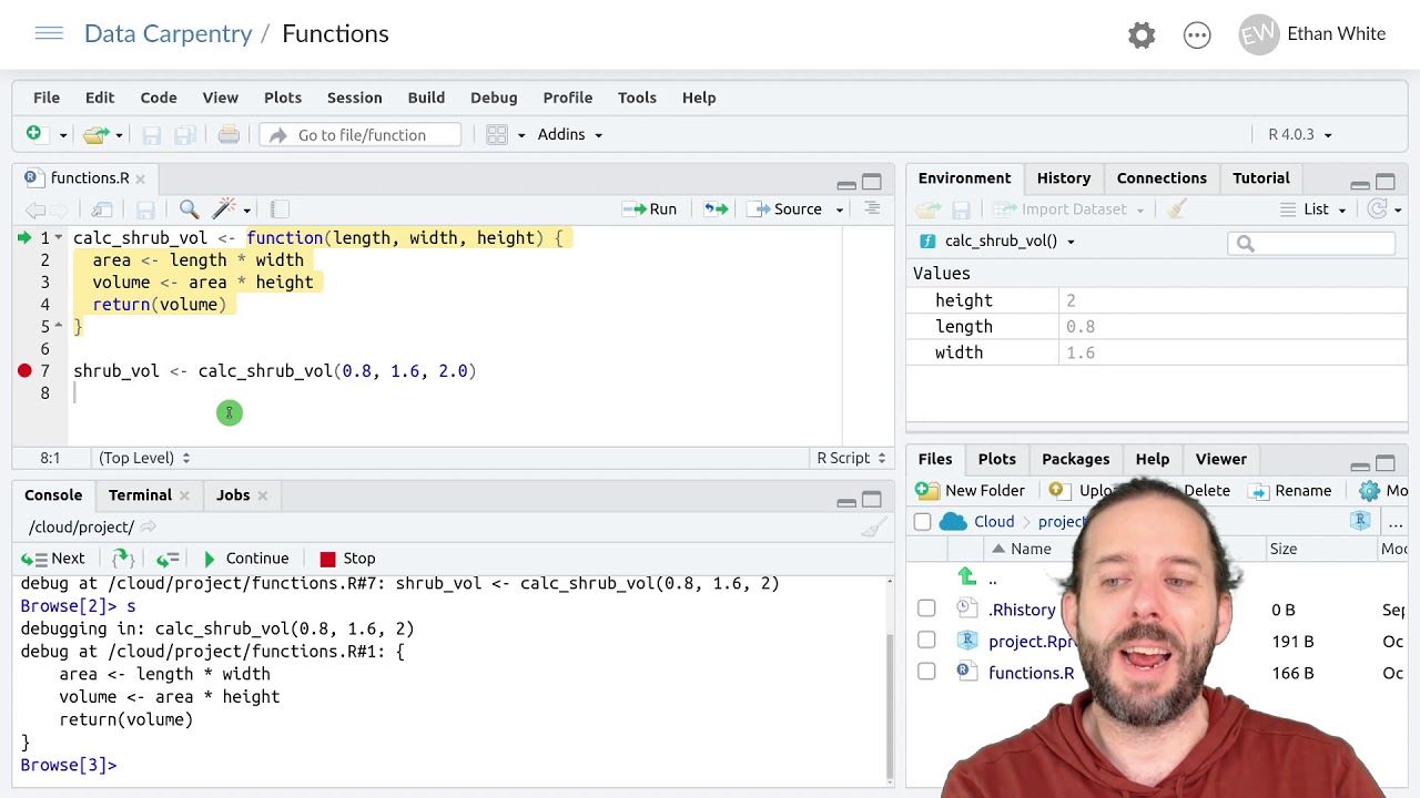 Writing Your Own Functions In R: How Functions Execute