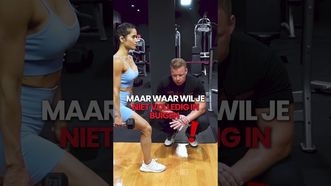 dumbbell split squat  