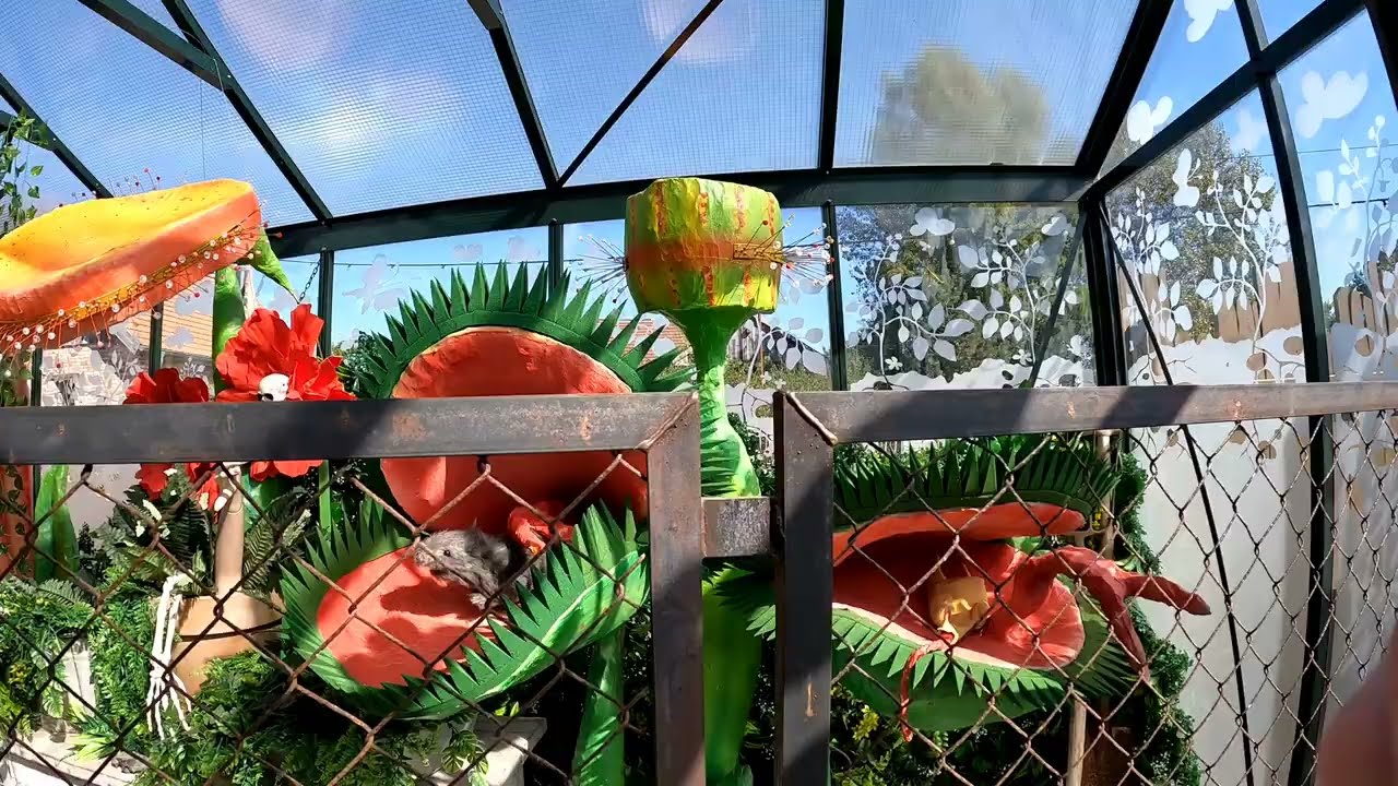 Angsthasenscheune im Karls Erlebnisdorf Elstal, kleiner Rundgang durch eine süße Maze