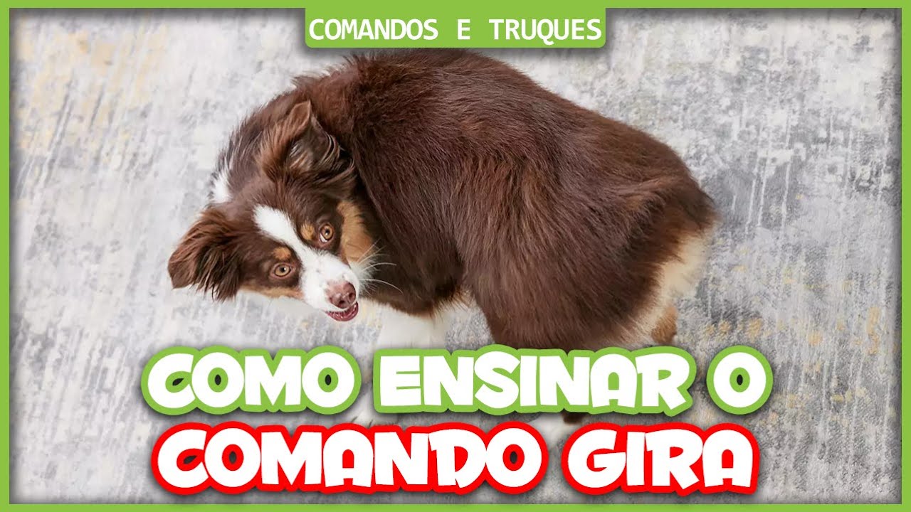 Como ensinar o comando GIRA