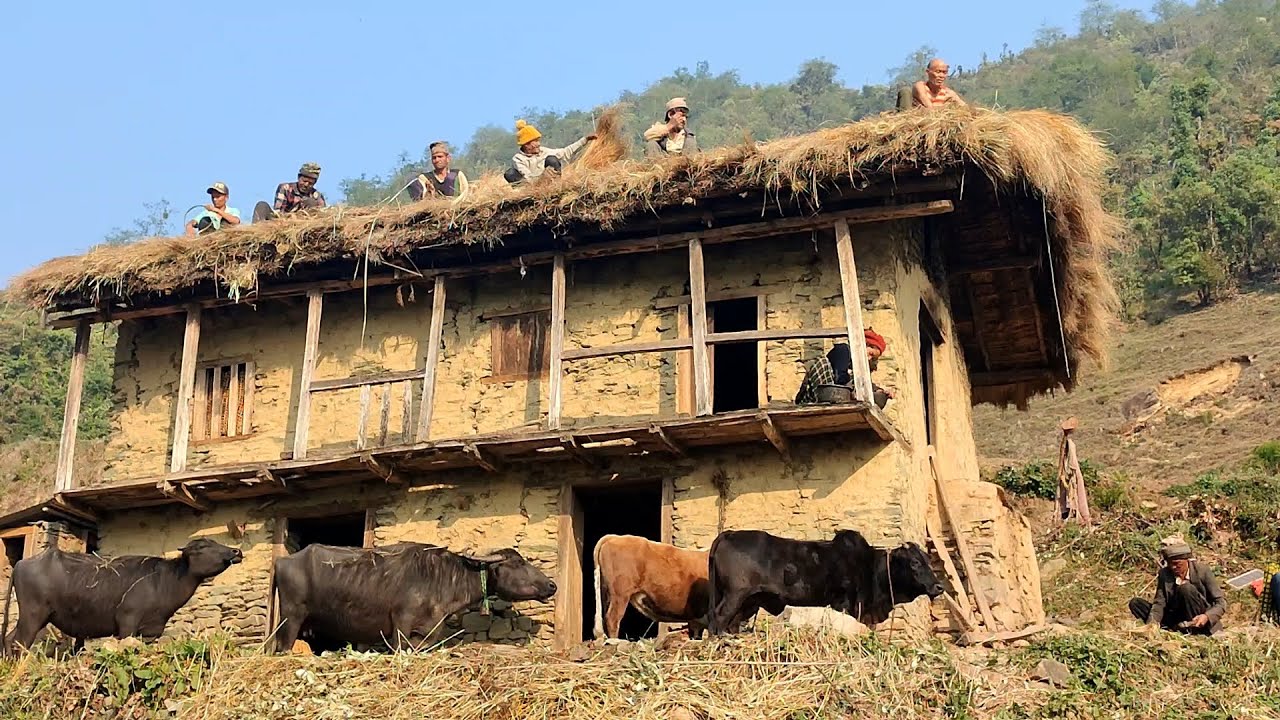 A Rainy Day in a Hidden Village | Organic Cooking & Slow Living | NepLi Village Life | Gobinda Rohan