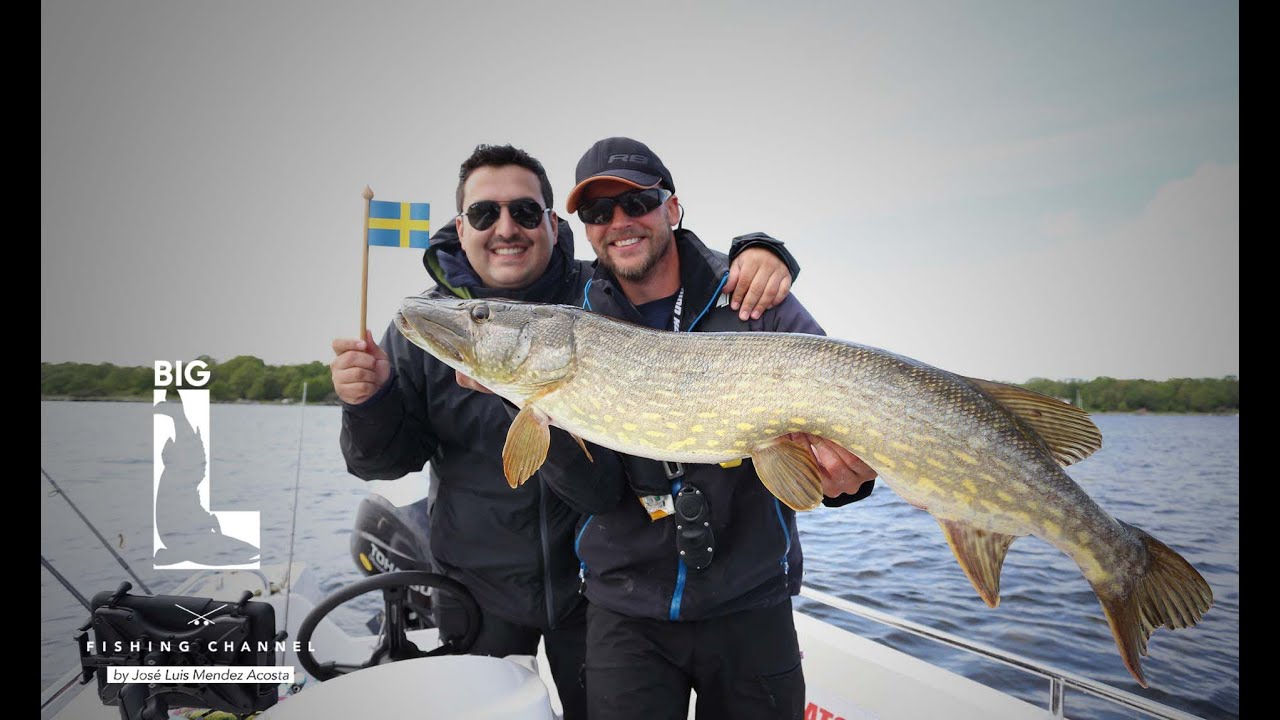 Hecht Paradies - Big L in Big Sweden - Part 2- Angeln in den Sch&auml;ren