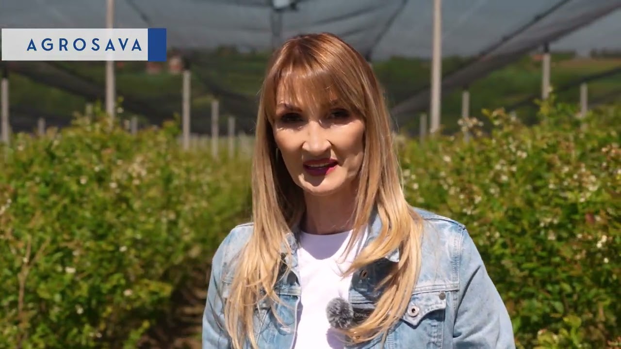 Jovanka Petrović - Zaštita jagode i borovnice
