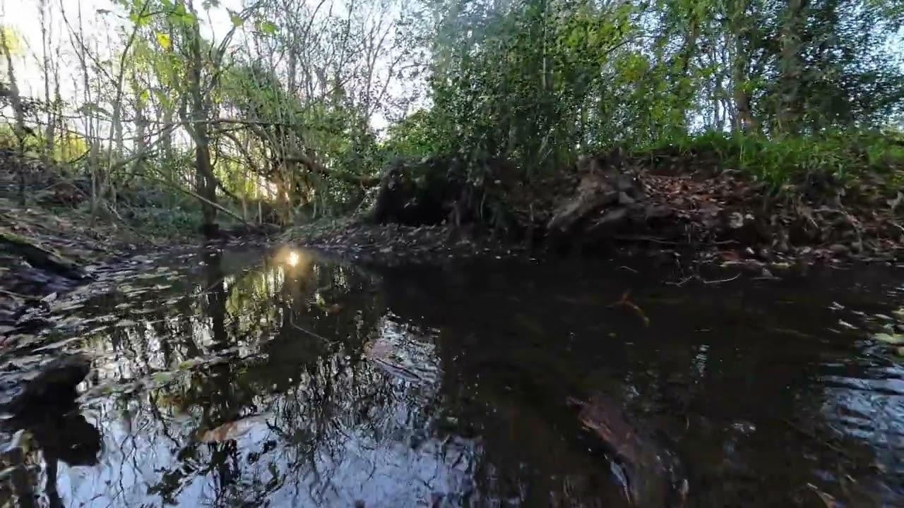 A Walk to Foxstone Dam