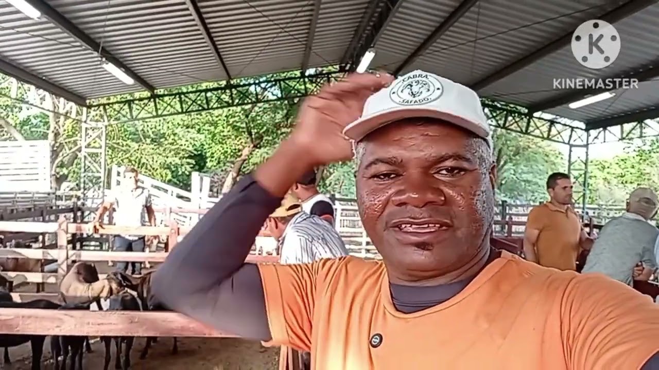 Feira de caprinos e Ovinos de Monteiro PB 14/03/2026/ parte 1