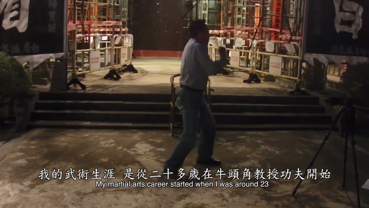 Pak Mei Kung Fu