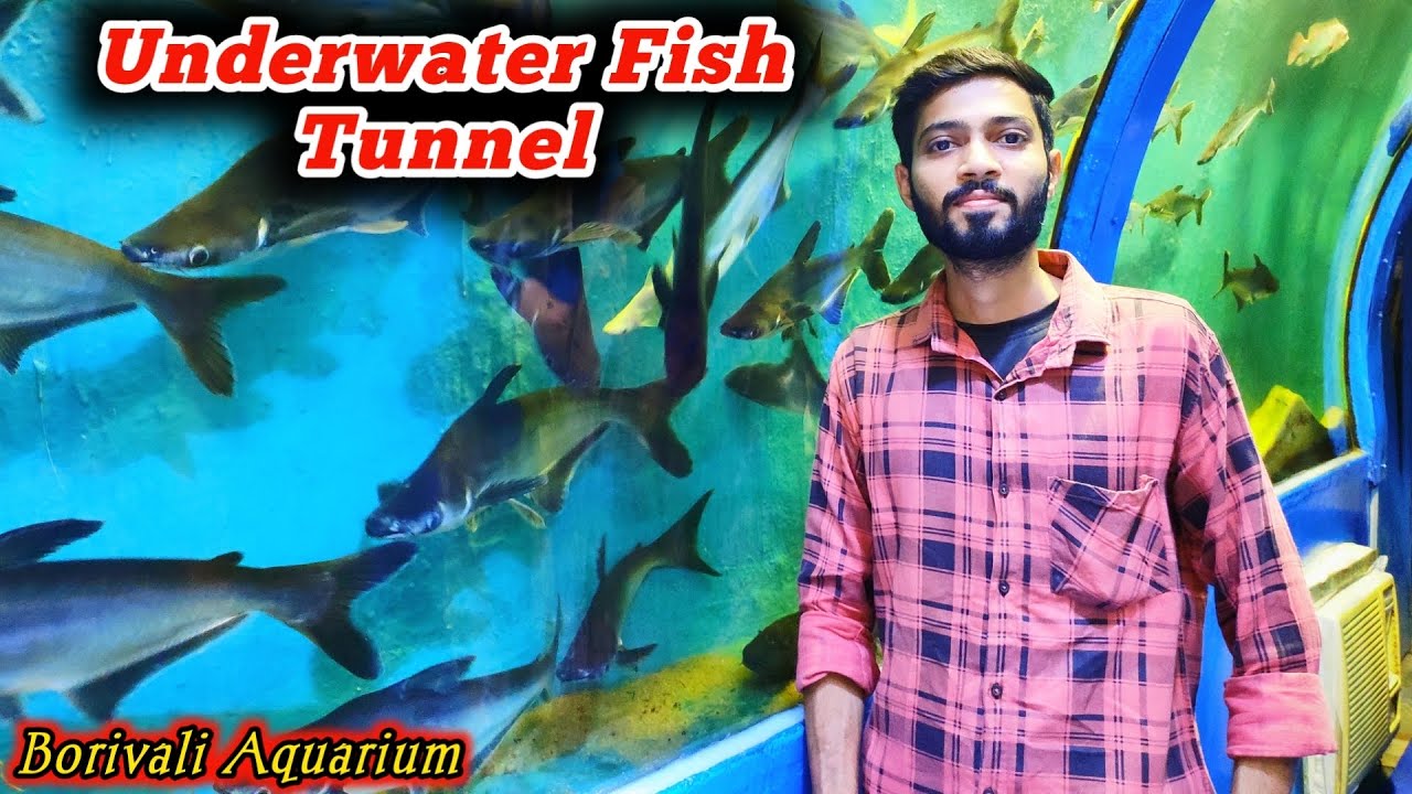 India's Largest Underwater Fish Tunnel 🐠 Borivali Aquarium 🔥 Vlog