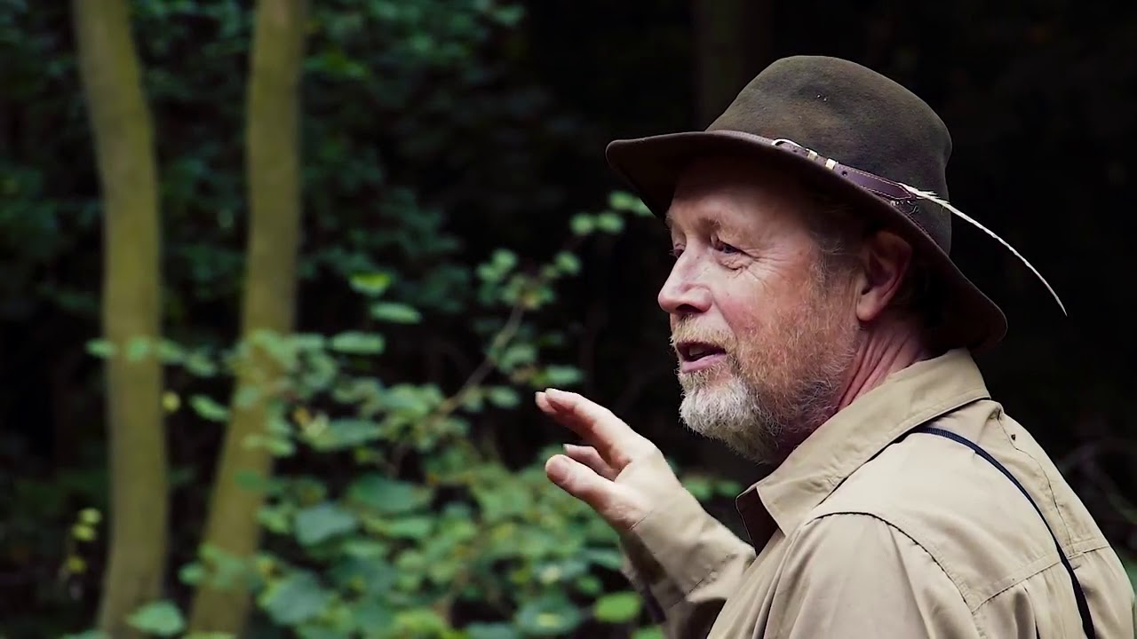 Ancient woodland restoration - Yorkshire | Woodland Trust