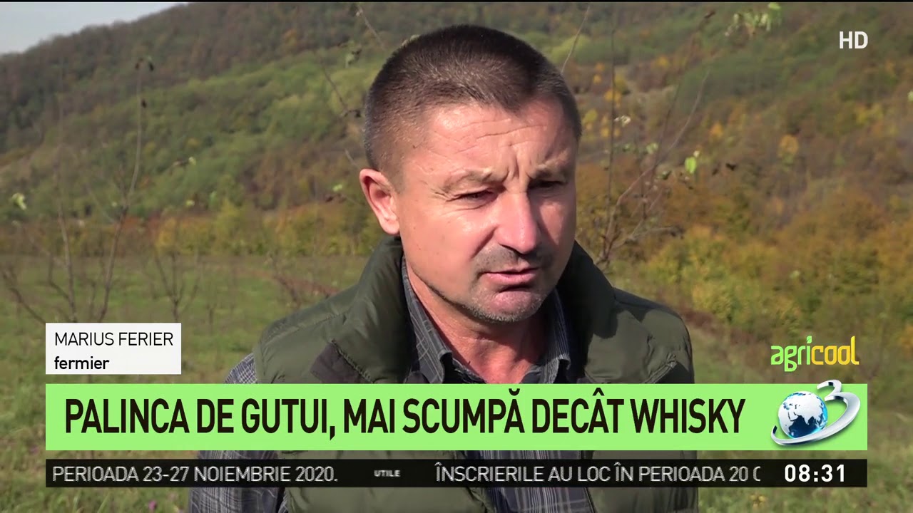 Agricool. Pălinca de gutui, mai scumpă dec&acirc;t whisky