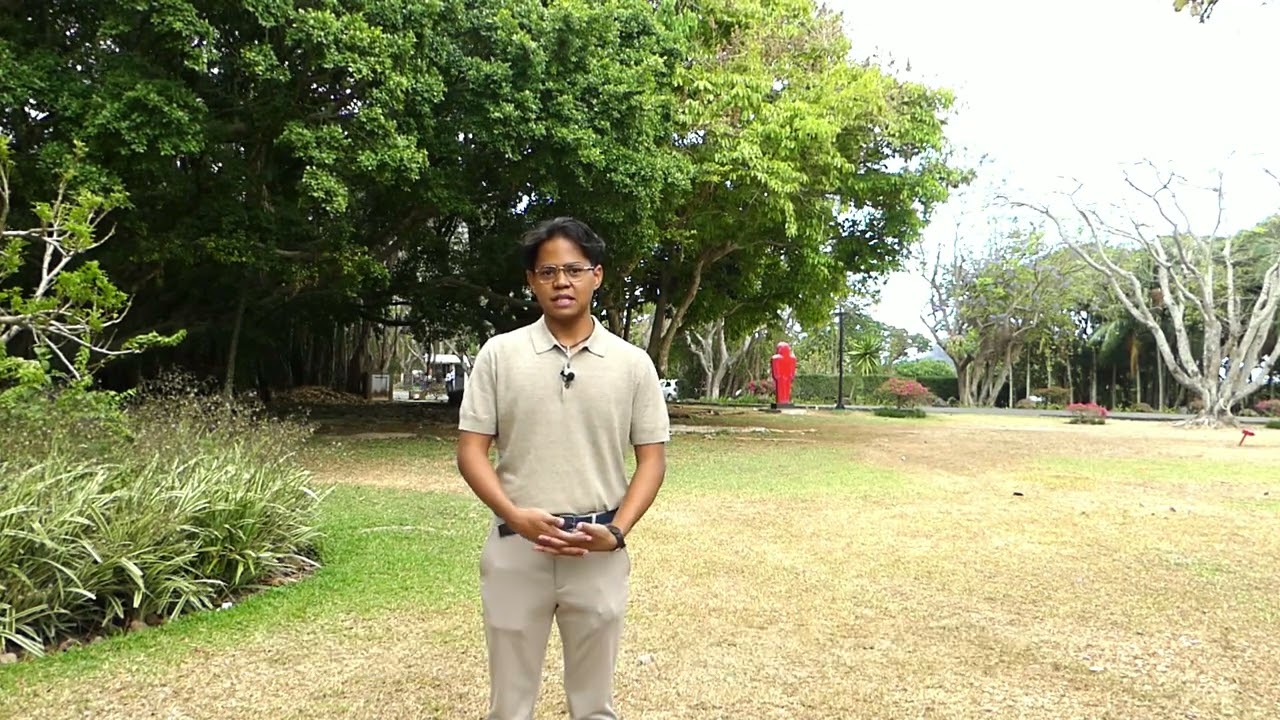 Étudier à Maurice : le témoignage de Rindra, étudiant malgache en droit