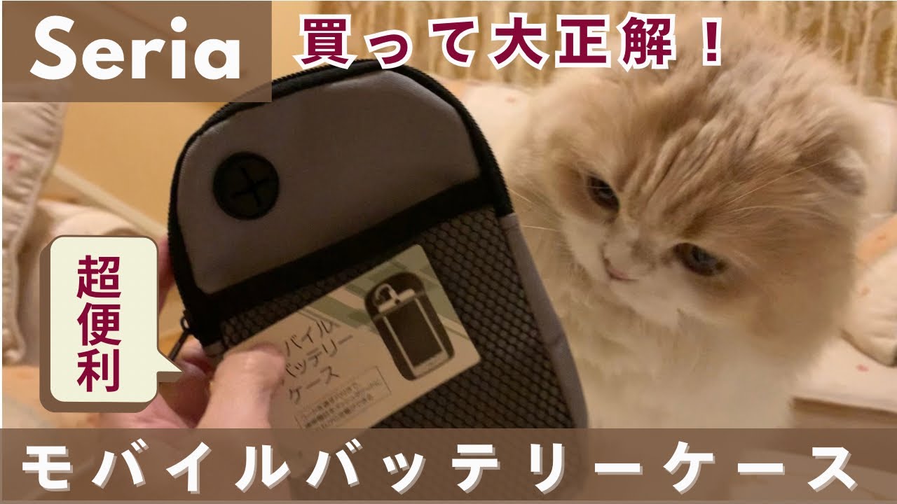 【100均】セリアモバイルバッテリーケース/買って良かった！便利グッズで神アイテム！優秀すぎて凄い！スコティッシュフィールド/Seria
