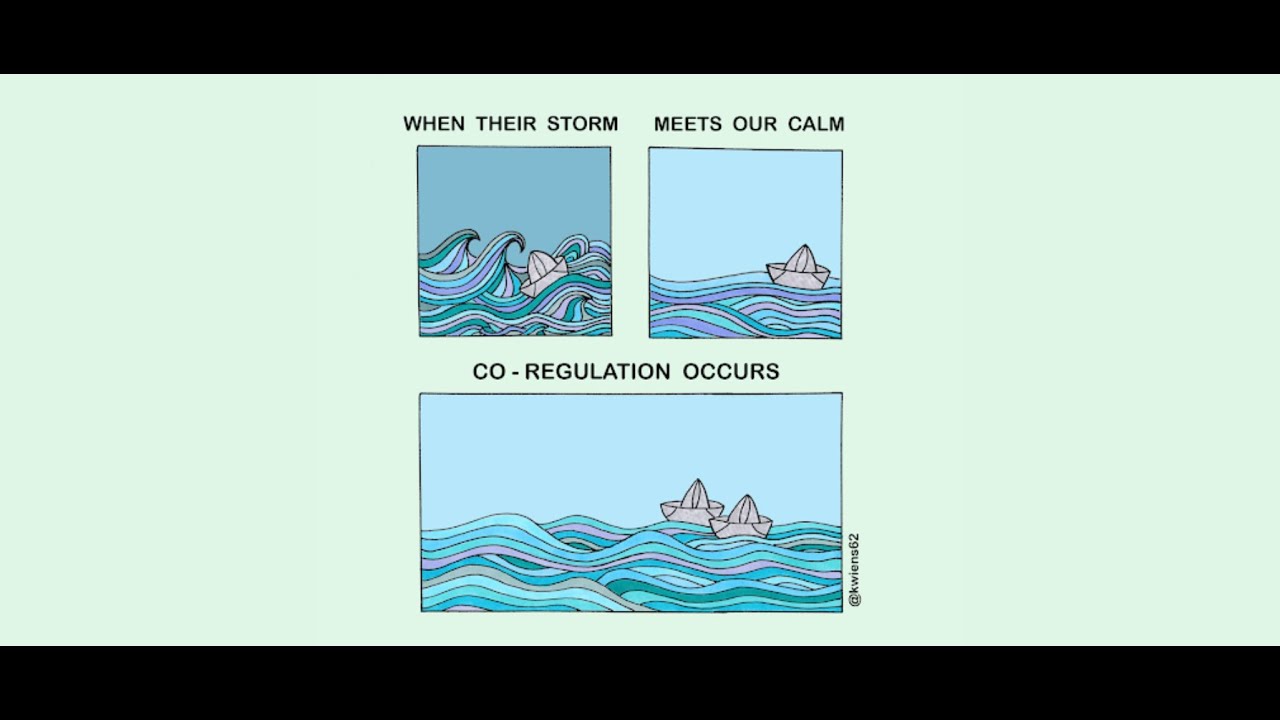 2e Self-Regulation
