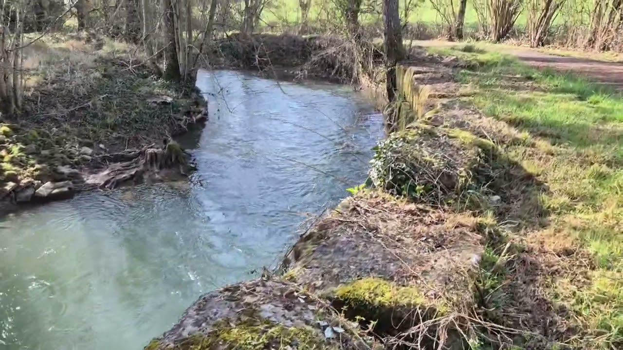 État des lieux une semaine avant l'ouverture de la pêche à la truite