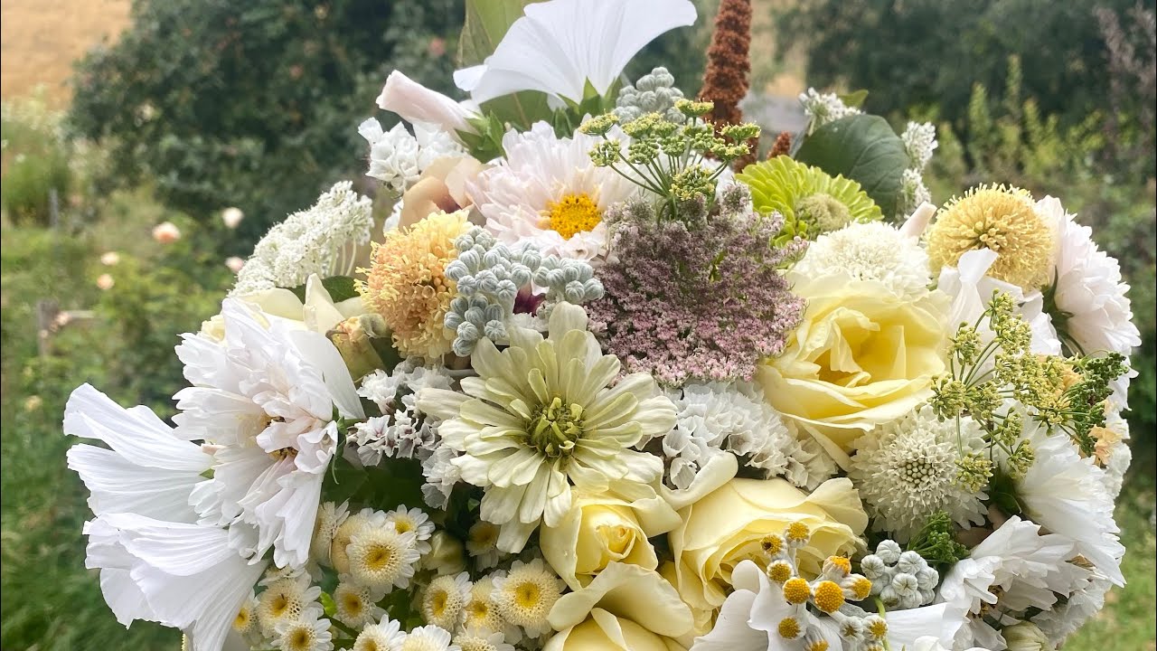 Flowers to grow again on the flower farm