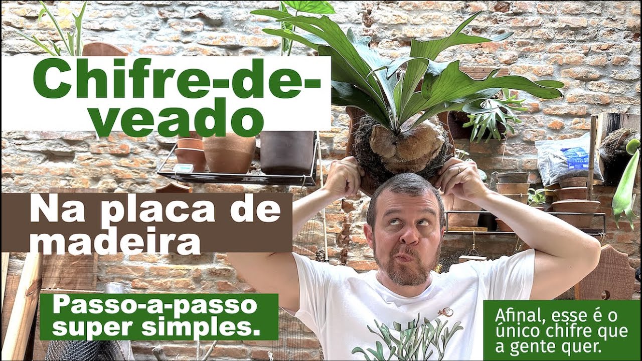 CHIFRE-DE-VEADO na placa de madeira: Passo a Passo super simples. Platycerium como uma obra de arte.