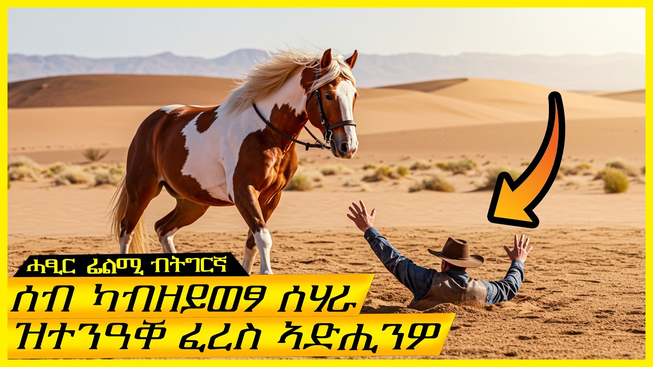 ዲቓላ ኢሎም ዝሰሓቕዎ ፈረስ ዋጋ $100.000 እዩ/ትግርኛ ፊልሚ/ Teraki tube l ተራኺ/@terakitube94 @Cineverse94