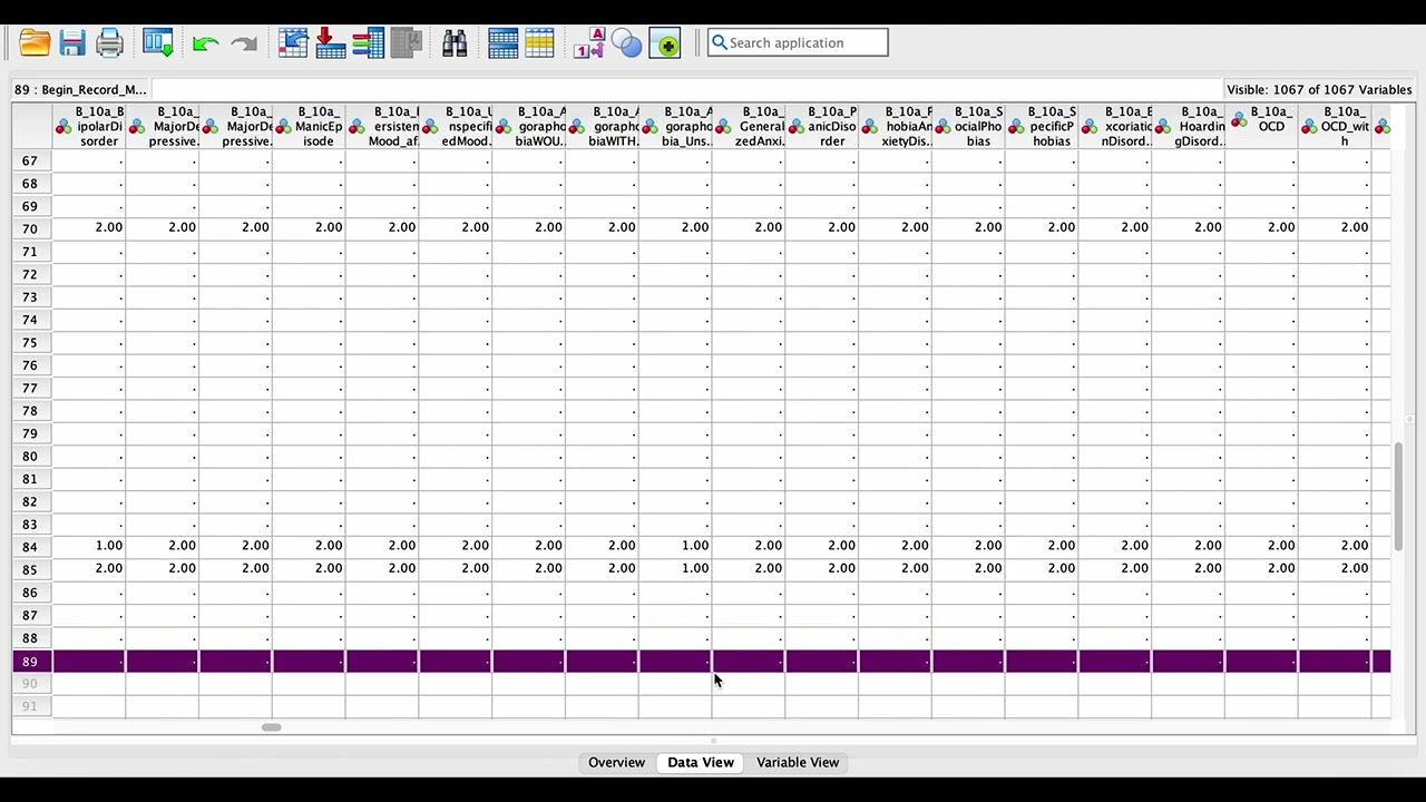 SPSS Drug Court Guide