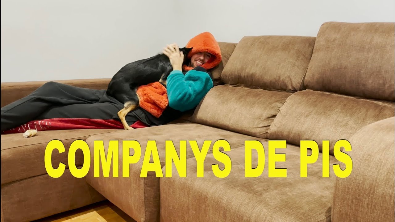 Cap. 2: Diferent ésser viu, mateixos problemes.