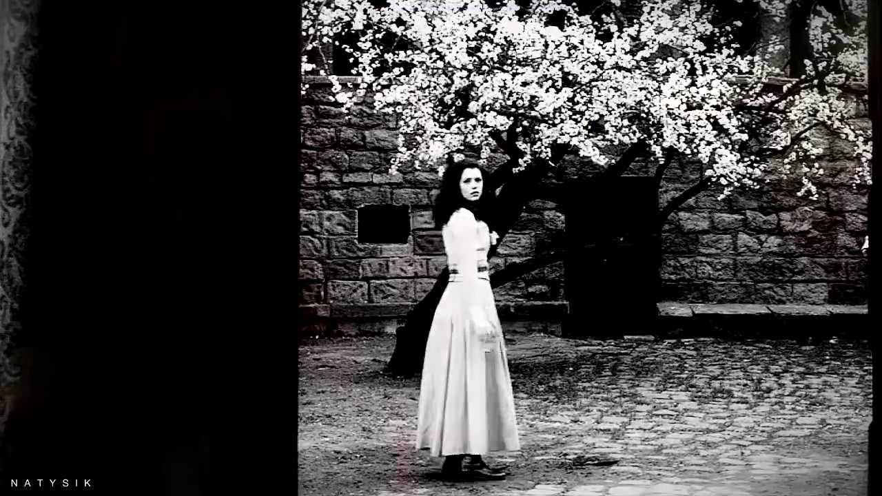 Dracula & Mina | still here (for Linda ♥)
