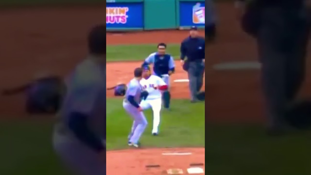 Cold MLB fight photo🥶