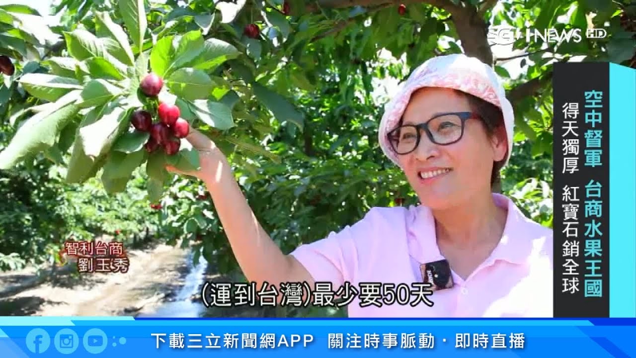 智利台商造水果王國！「紅寶石」櫻桃熱銷全球｜消失的國界｜財經新聞｜94要賺錢