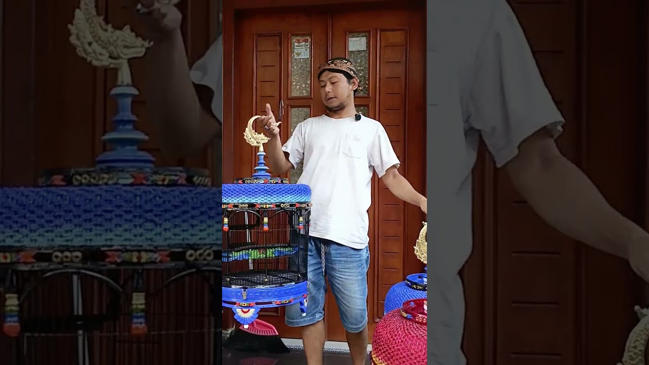 sangkar  #burung #sangkarperkutut #kicaumania #perkututgacor #perkututgacor #perkutut #prekututlokal